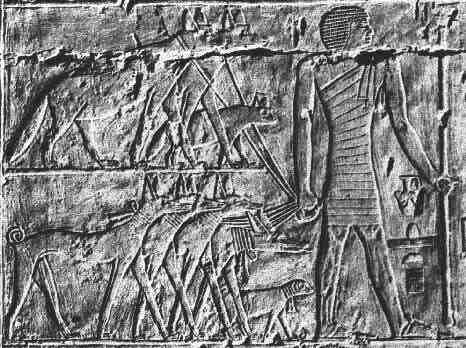 Egypian Tomb Relief